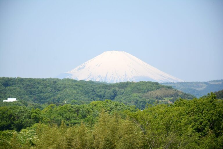 頭高山