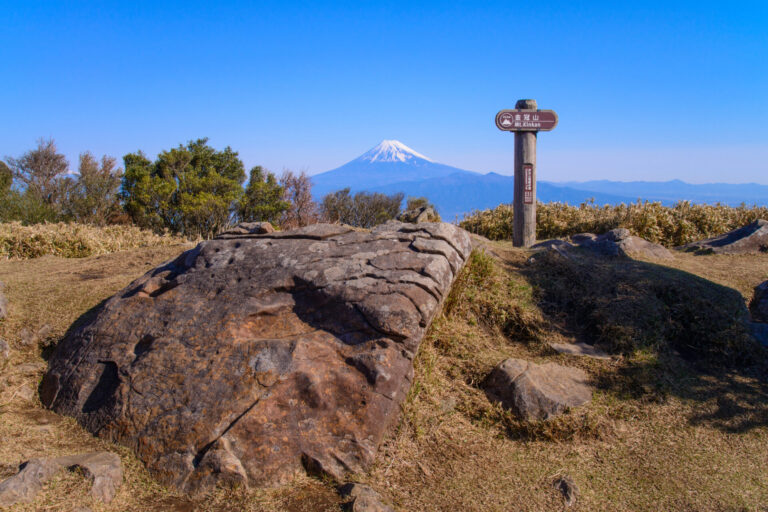 金冠山と達磨山