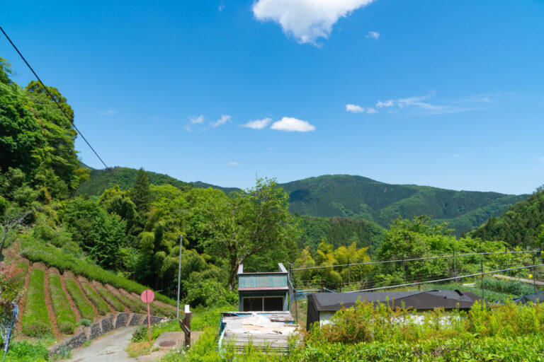 生藤山